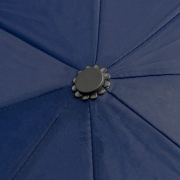 59995531