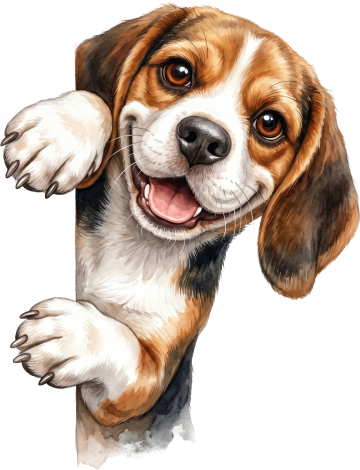 Ai01588 beagle