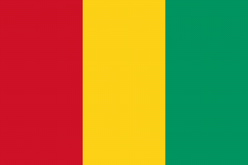 Flagofguineasvg