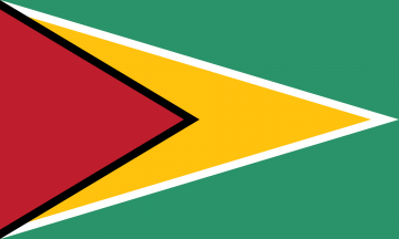 Flagofguyanasvg
