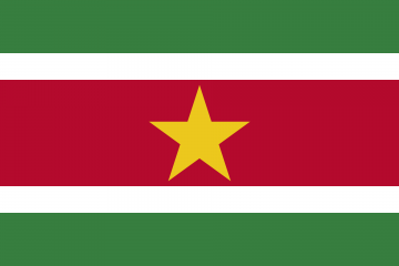 Flagofsurinamesvg