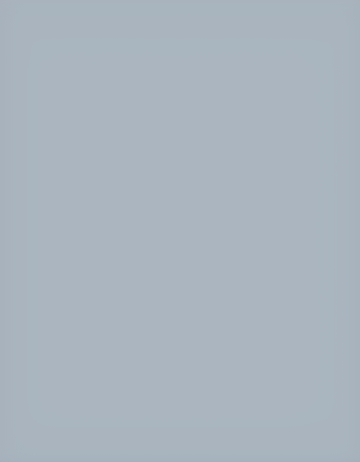 Md4001611 grey