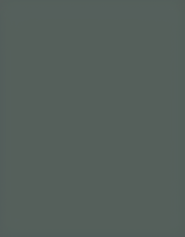 Md4001640 grey