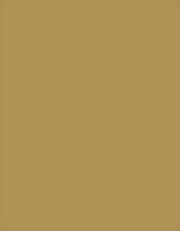 Md4001673 light brown