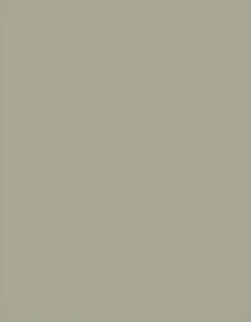 Md4001860 stone