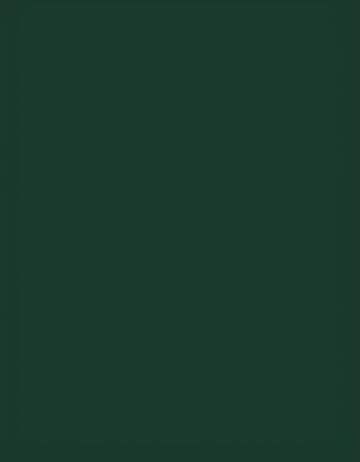 Md4001902 dark green